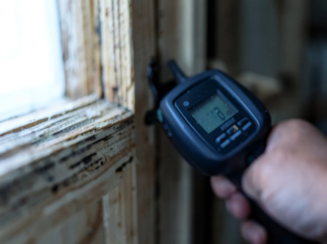 Moisture Inspection And Documentation in Warbranch, KY